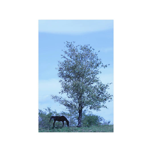 Lone Horse Satin Posters (210gsm)