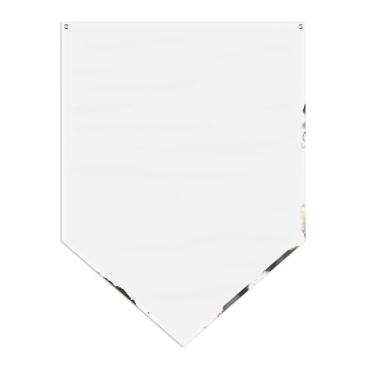 Pentagram Skull Pennant Banner