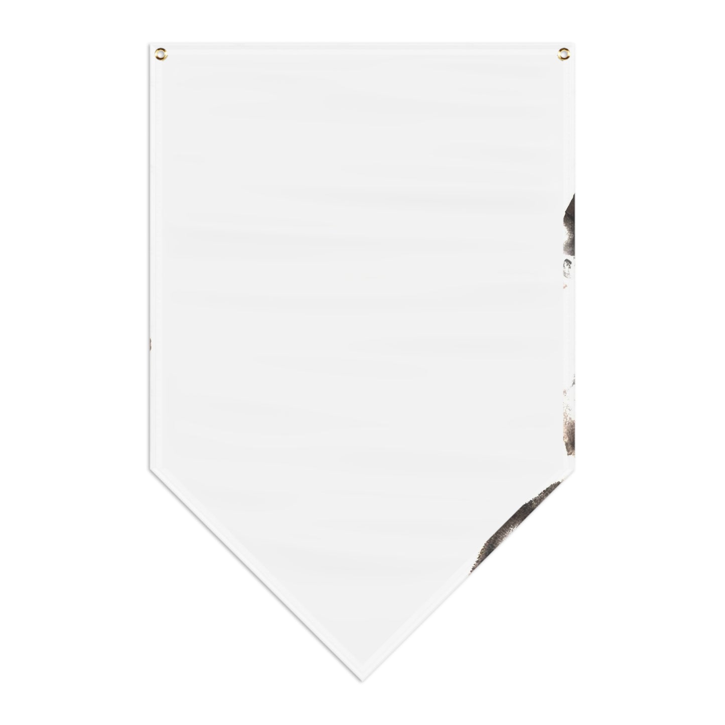 Pentagram Skull Pennant Banner