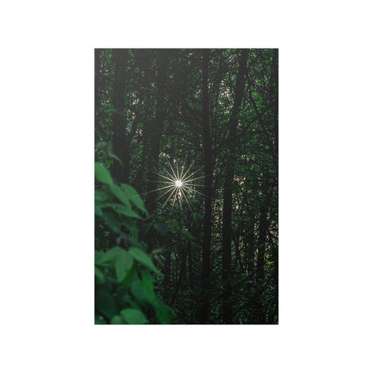 Sunlight Satin Posters (210gsm)