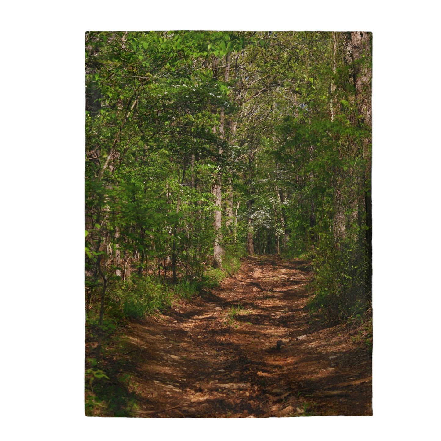 Trail Velveteen Plush Blanket