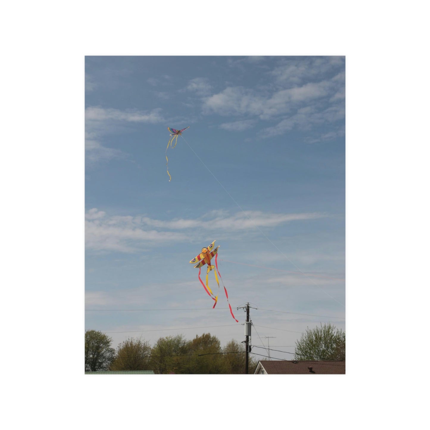 kite Satin Posters (210gsm)