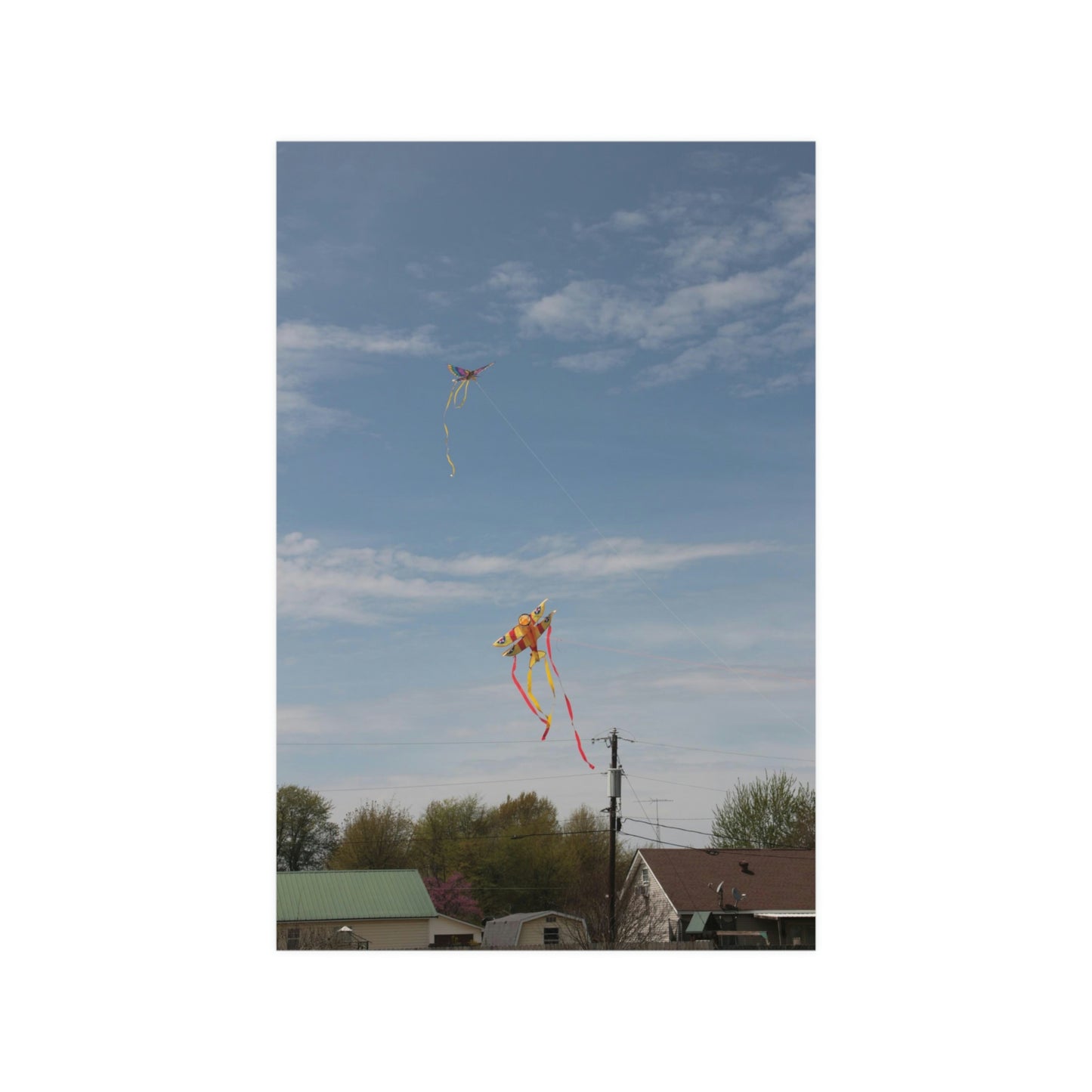 kite Satin Posters (210gsm)