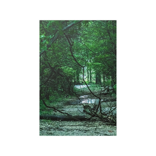 Dark path Satin Posters (210gsm)