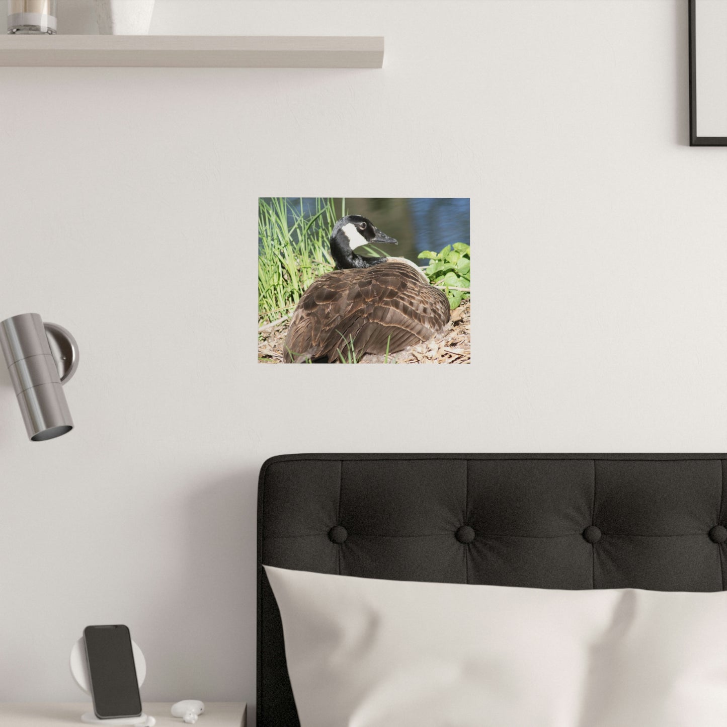 Nesting duck Satin Posters (210gsm)