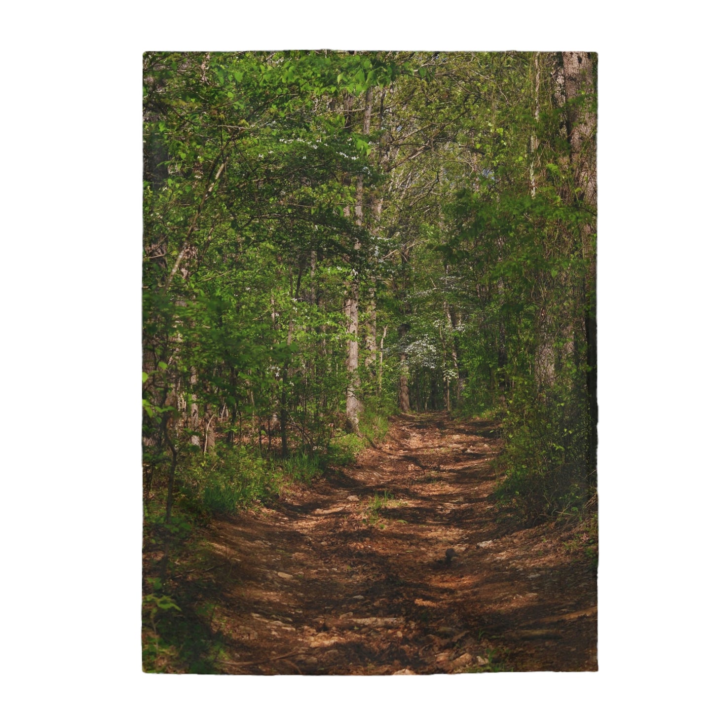 Trail Velveteen Plush Blanket