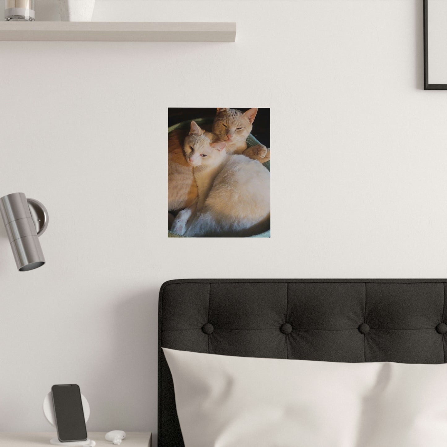 Kitten love Satin Posters (210gsm)