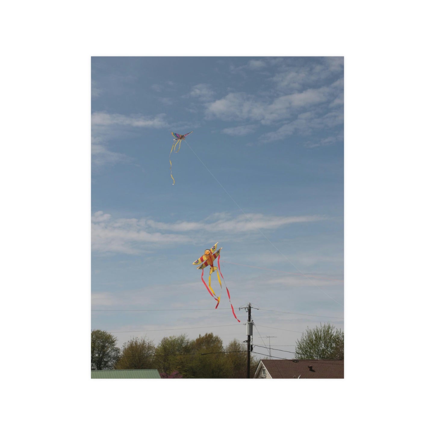 kite Satin Posters (210gsm)